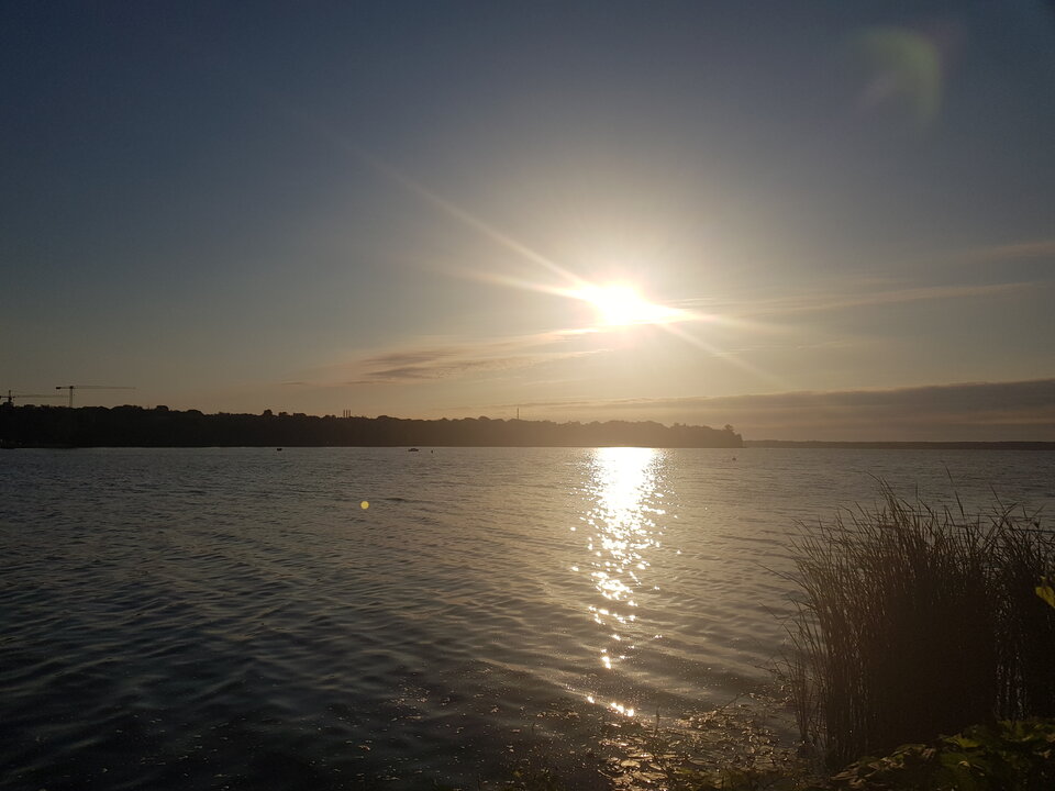 20220724_060158.jpg - yeery