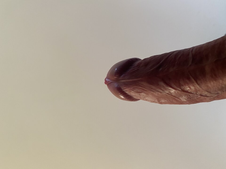 7D19729B-20A2-45AA-8DAD-8AB465D8AA31.jpeg - bondjames728