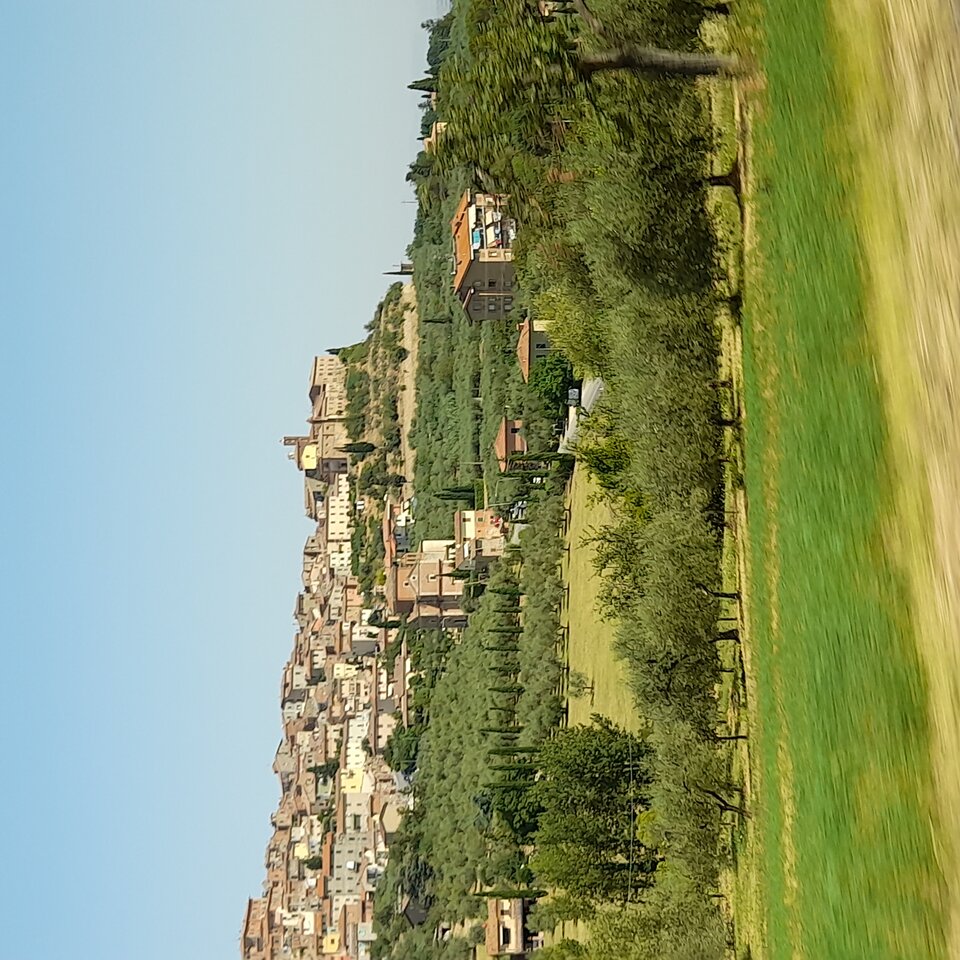 20220724_112027.jpg - 2205JOGI