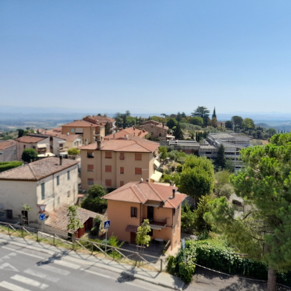 20220724_104550.jpg - 2205JOGI