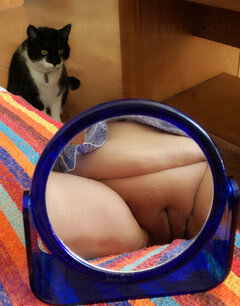 Polowanie kotka...na myszkę ..:)