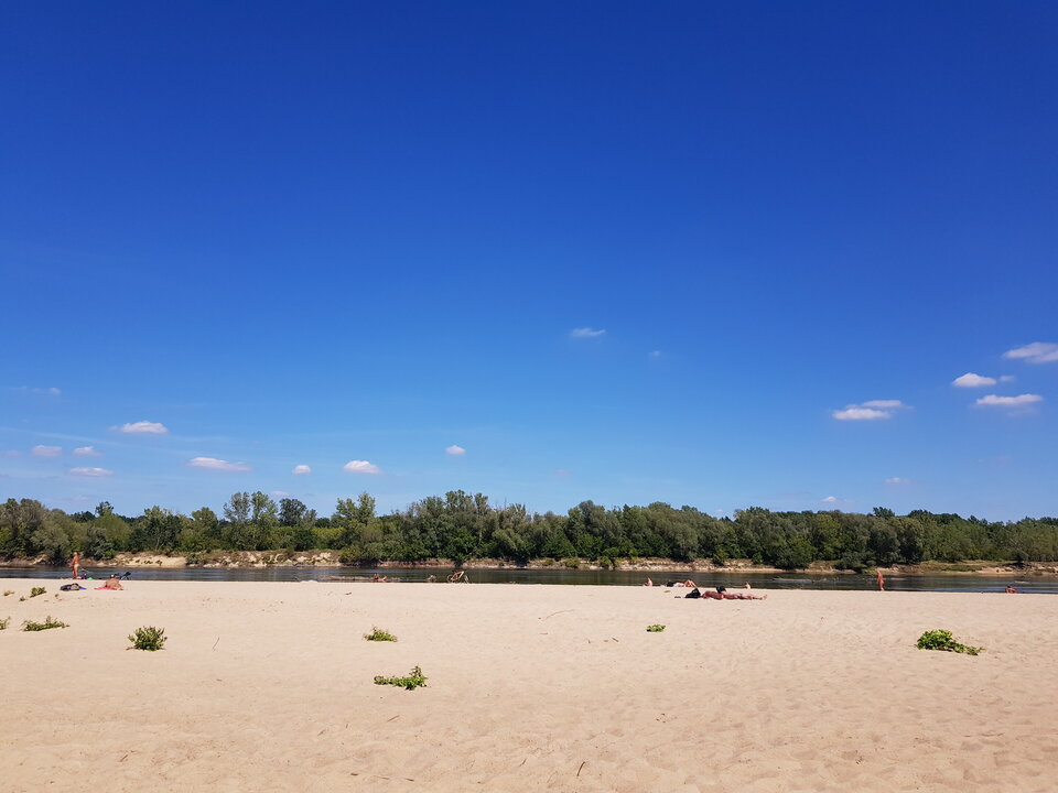 20220725_143222.jpg - pawsexan