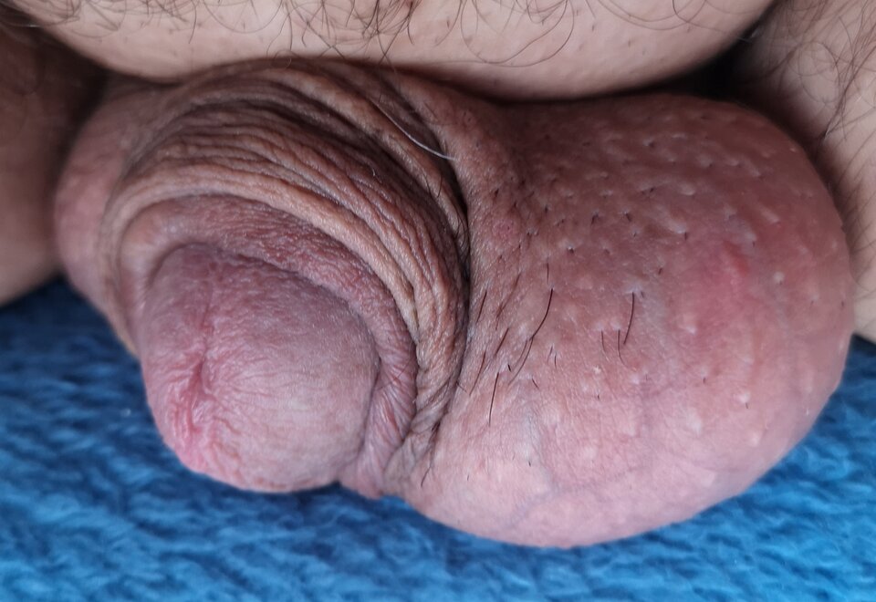 IMG_20220725_170148.jpg - Bazyl47