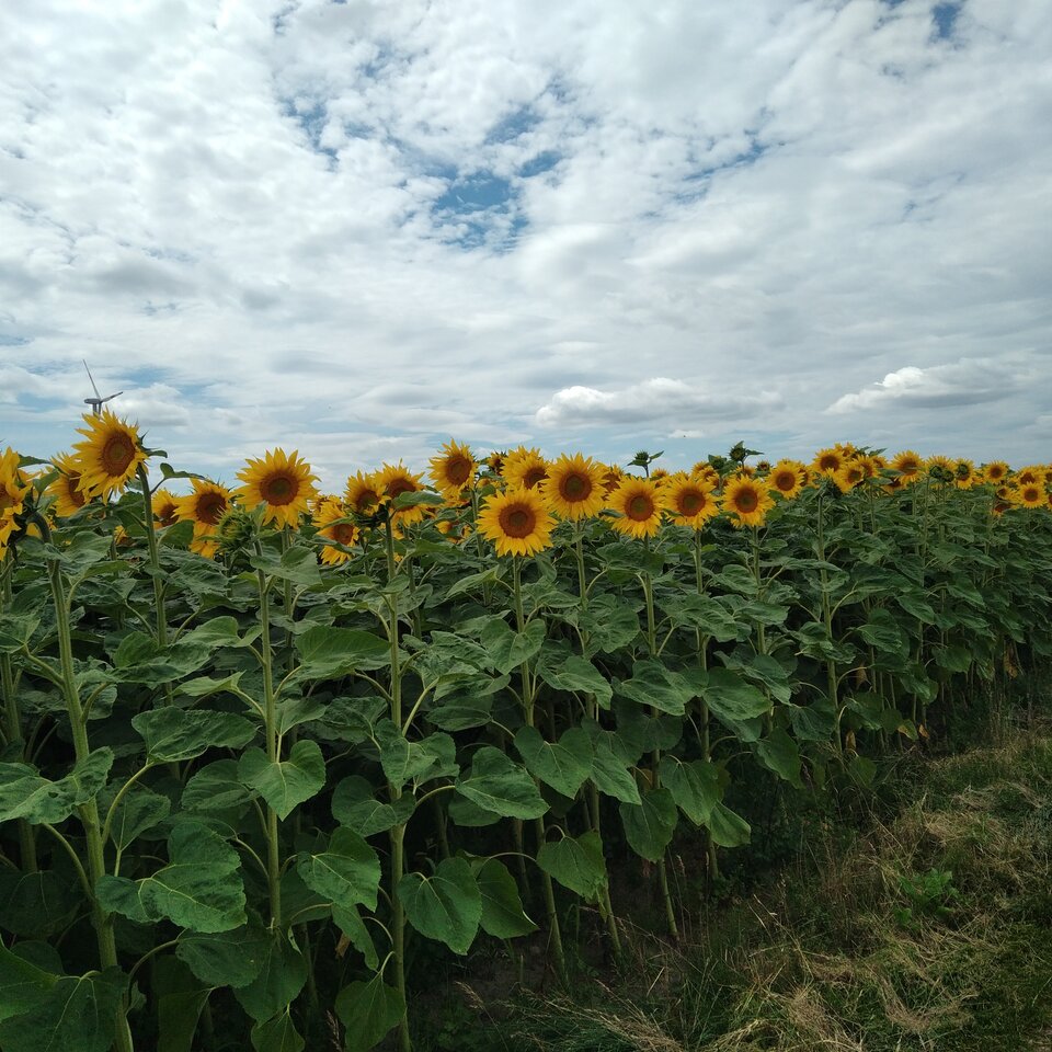 20220718_130220.jpg - Krzyszto1234