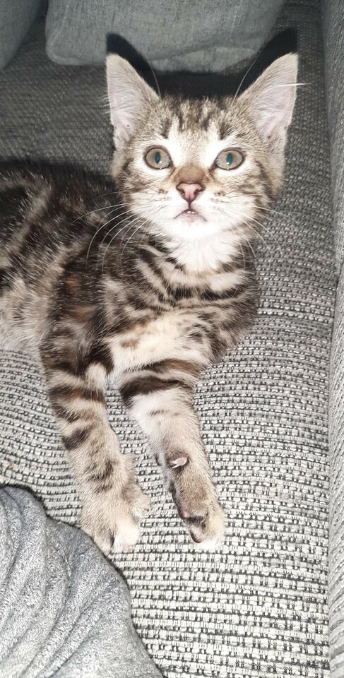 7136a35b-c26f-4df9-b0bf-f23c7ed6b246MSGR_PHOTO_FOR_UPLOAD_.jpeg - Matisek25