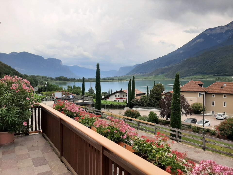 20220726_154114.jpg - Maggreg2020