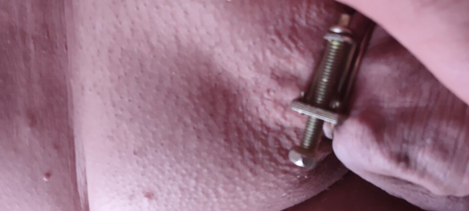 IMG_20220726_110324391.jpg - Bolo0803