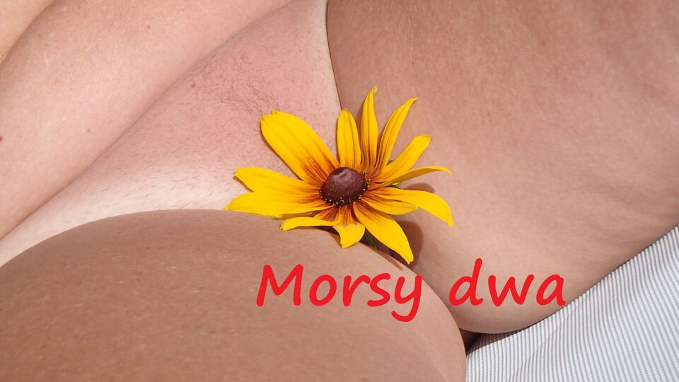 Zbiornik 1747 - Morsy_dwa