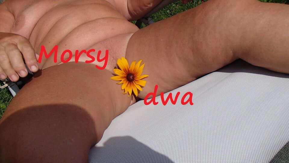 Zbiornik 1746 - Morsy_dwa