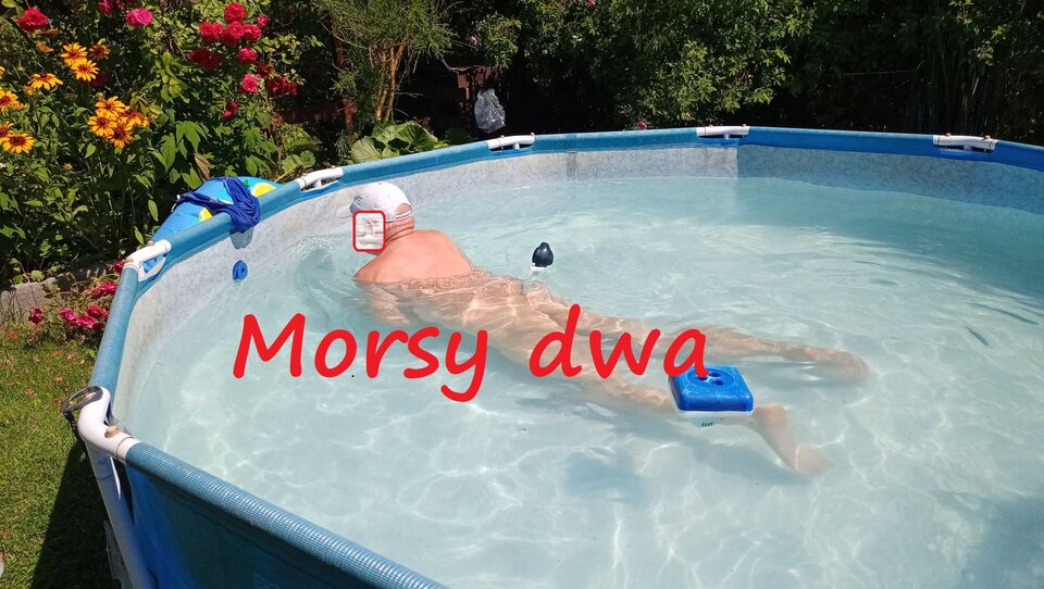 Zbiornik 1741 - Morsy_dwa