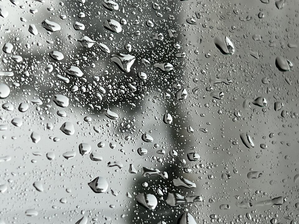 1E117180-64E7-4D26-8E5F-60811A56C740.jpeg - on_do_cuckold