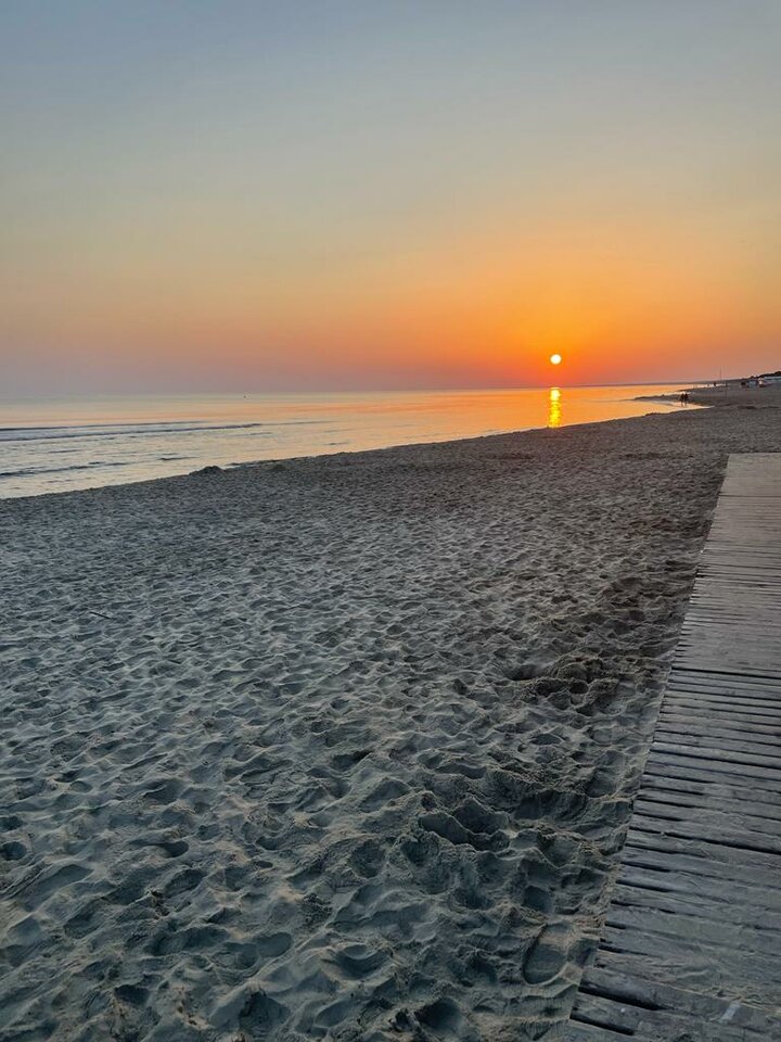 IMG-20220726-WA0019.jpg - harryraider