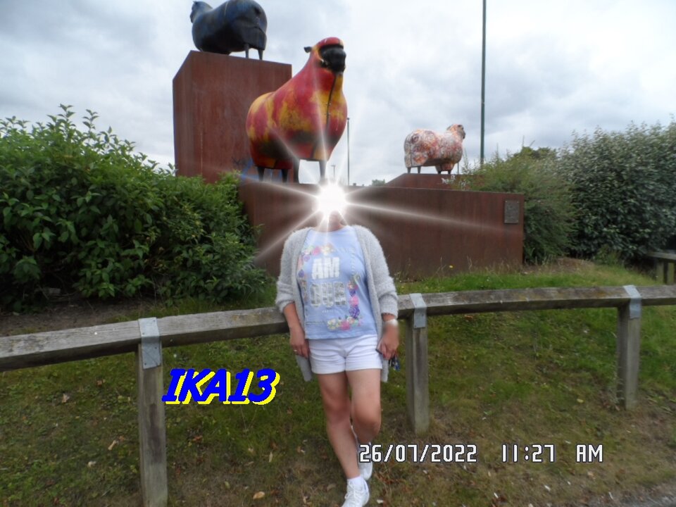 SAM_4111.JPG - ika13