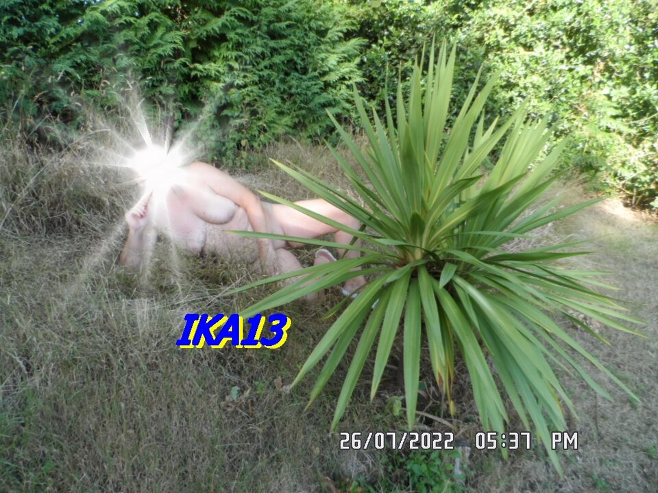 SAM_4119.JPG - ika13