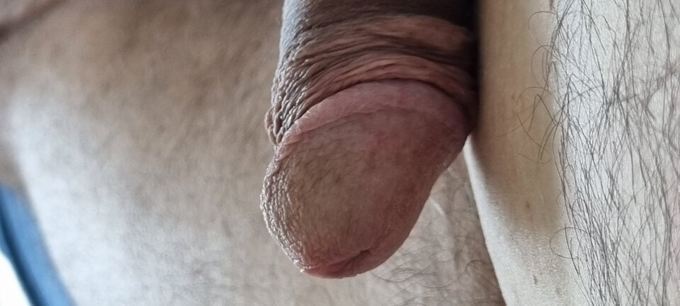 20220727_100303.jpg - Bazyl47