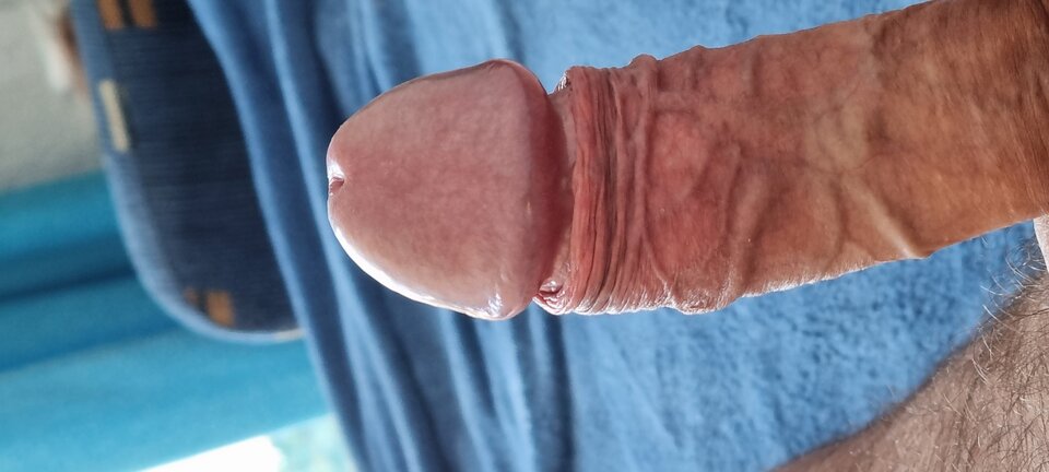 20220727_104418.jpg - Bazyl47