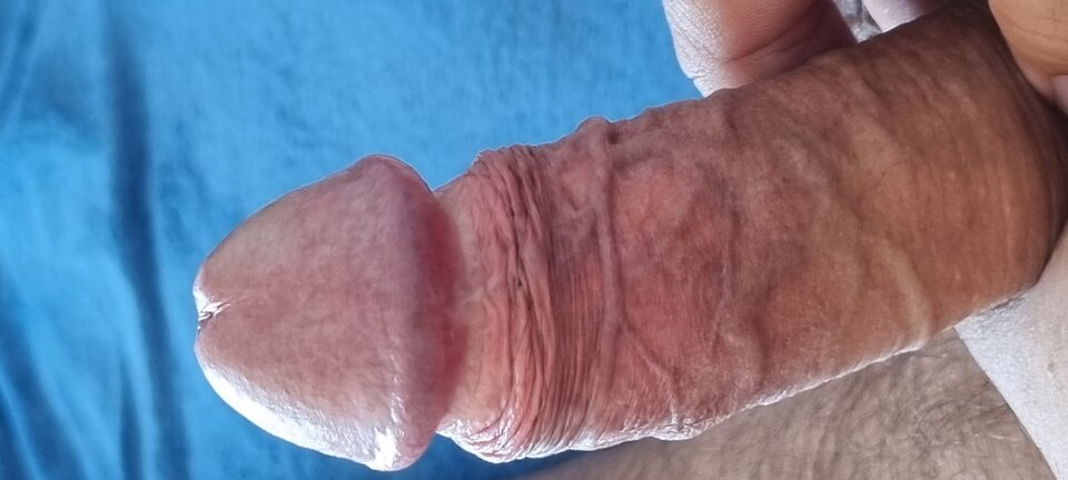 20220727_104249.jpg - Bazyl47