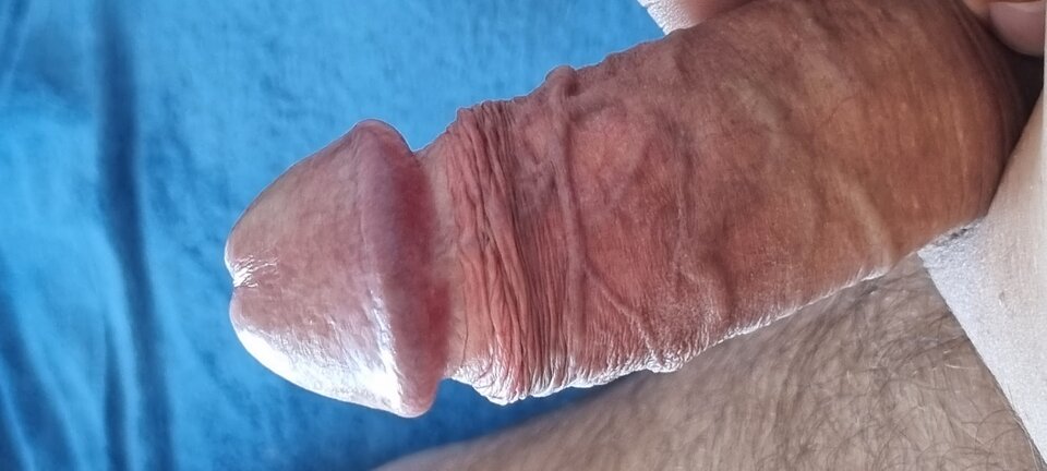 20220727_104254.jpg - Bazyl47