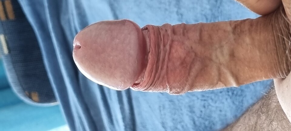 20220727_104409.jpg - Bazyl47