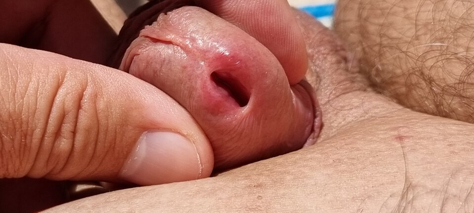 20220727_114123.jpg - Bazyl47