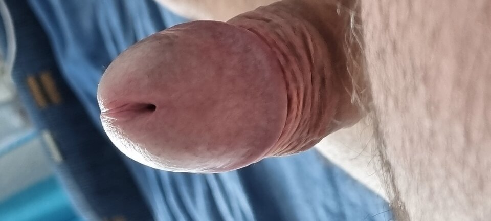 20220727_163313.jpg - Bazyl47