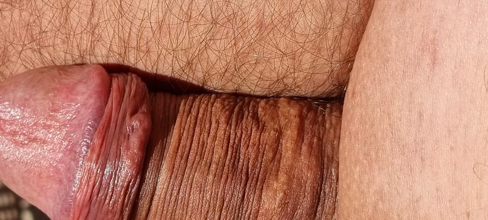 20220727_114447.jpg - Bazyl47