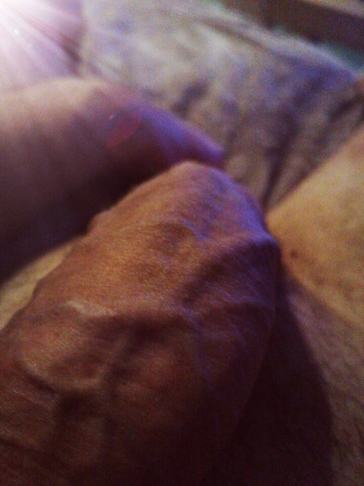 IMG_20220727_164308.jpg - hardi333