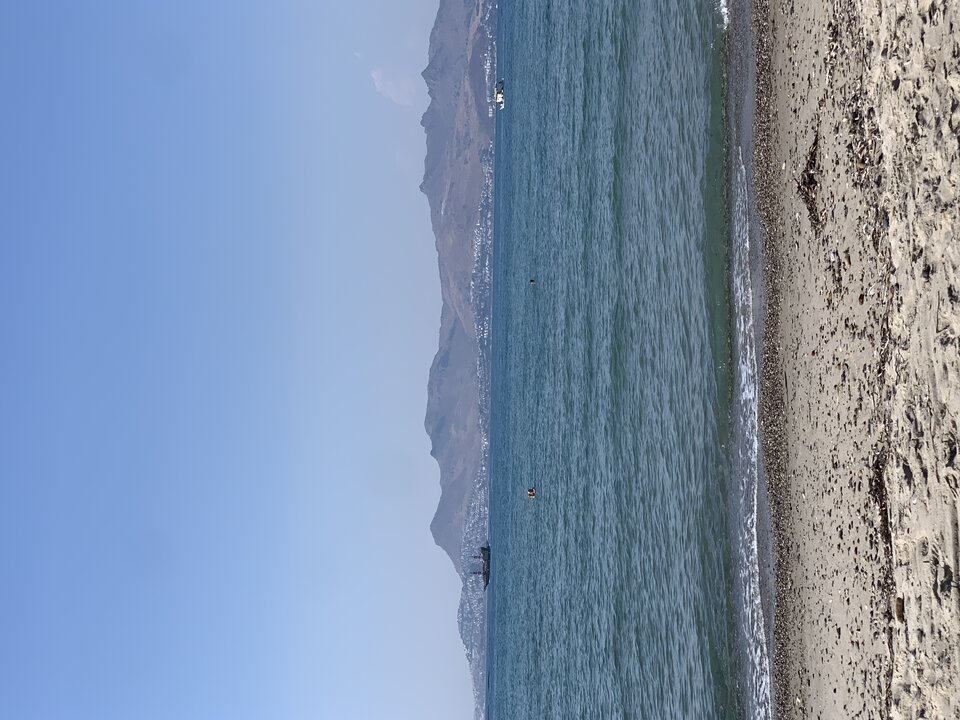 D5C380F4-62F7-4370-BBA0-77BBF2C3DEE0.jpeg - Amigo_69