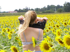 W słonecznikach można się zanurzyć bez pamięci....