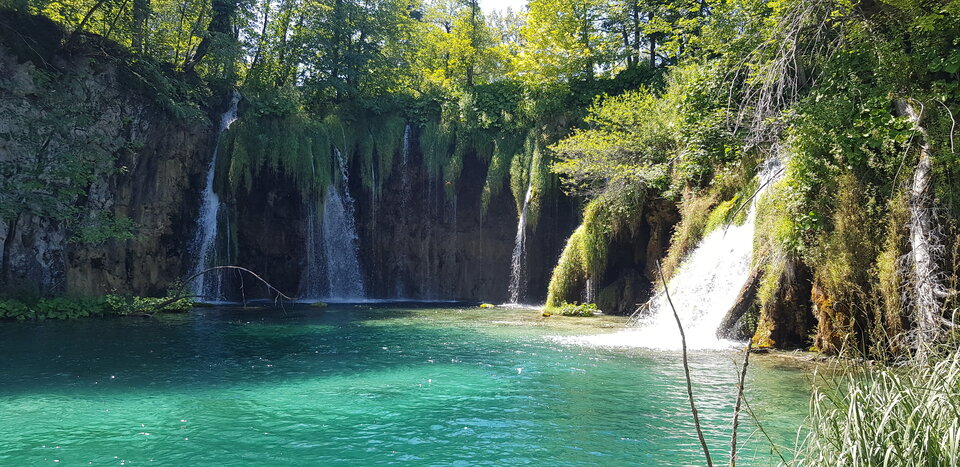 20220721_130203.jpg - enrikko