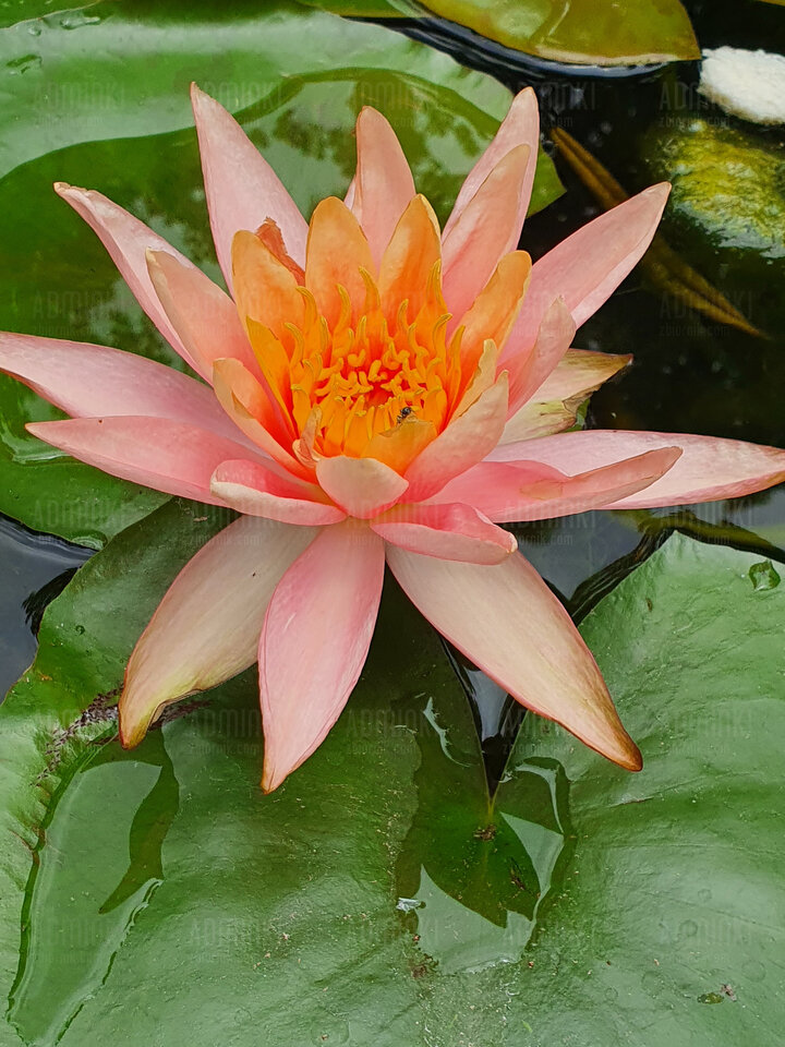 20220725_133639.jpg - Adminki