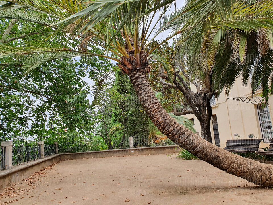 20220725_132030.jpg - Adminki