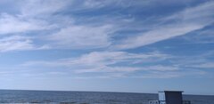 20220728_181406.jpg