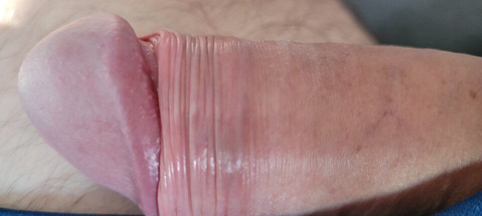 20220729_072019.jpg - Nowy741