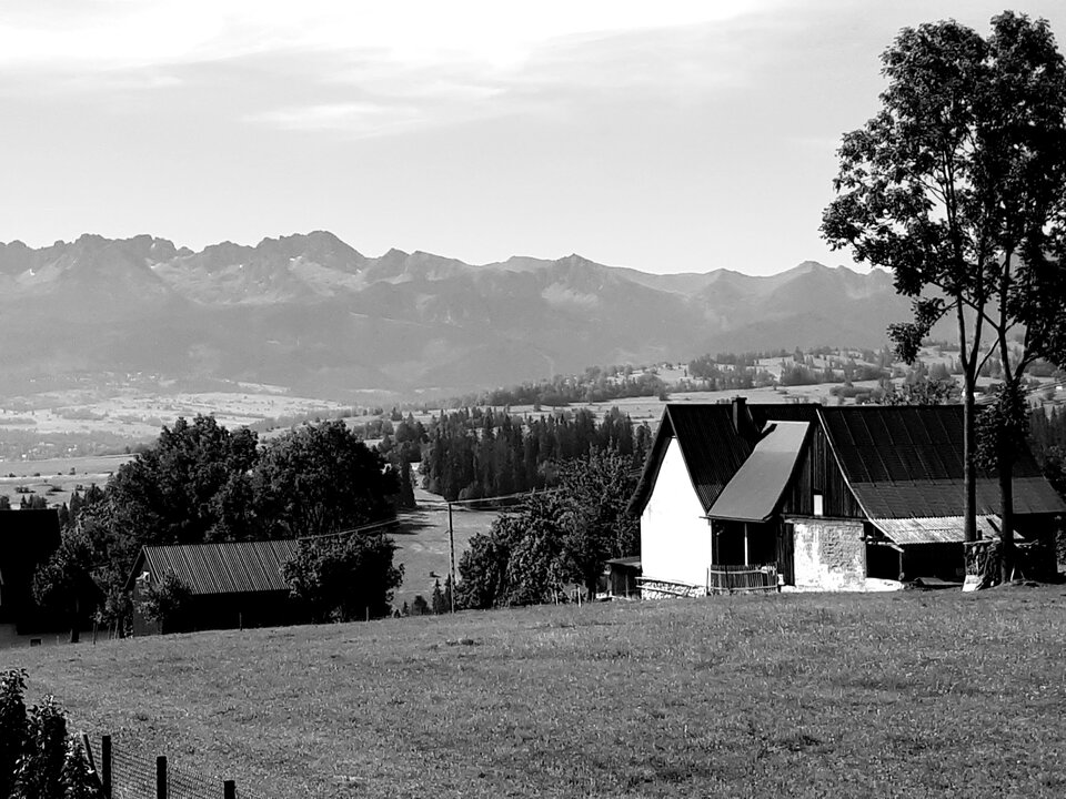 20220729_082120.jpg - Tabas0