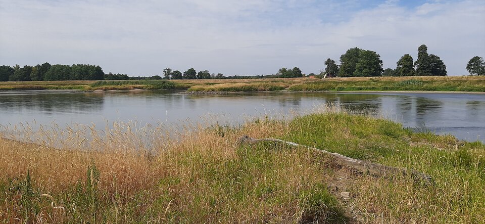 16590836376941947707113386349300.jpg - Mich1977