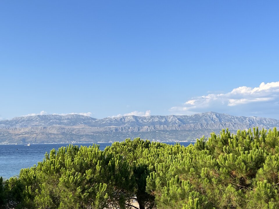 Widoczek_1.jpeg - magiczna_paleczka