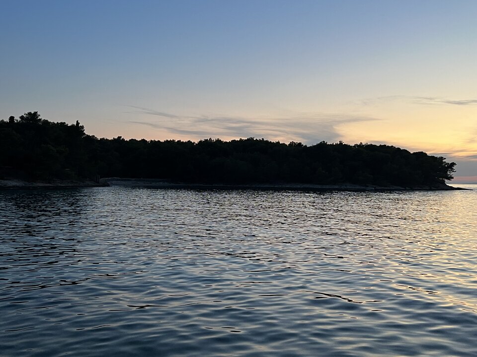 31BD3500-E6AC-4397-9FFB-B8439975758A.jpeg - magiczna_paleczka