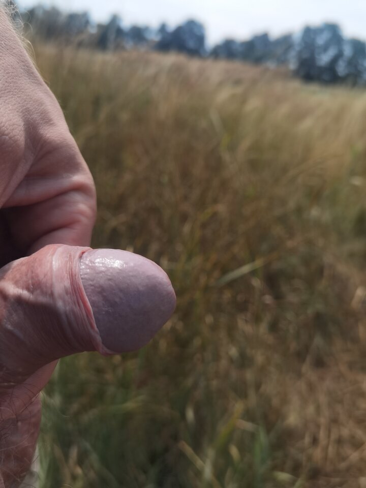 1659093792592.jpg - Mabakol