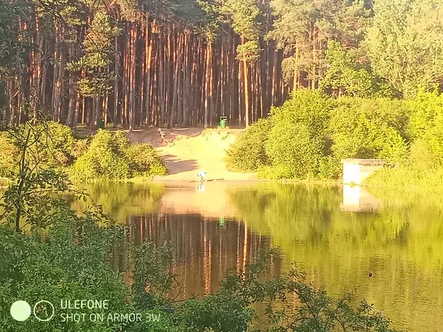 Tadeusz1984PanTadeusz