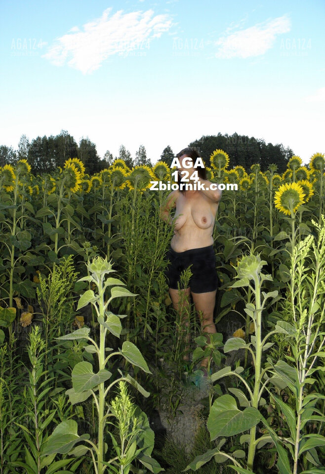 W słonecznikach - aga124