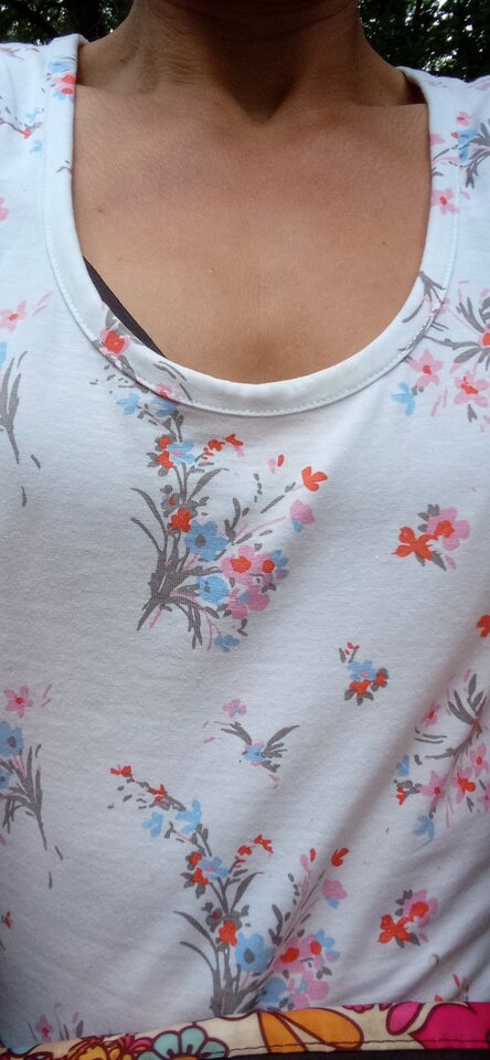 IMG_20220730_125249.jpg - Dorotapa