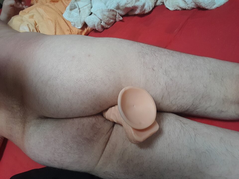 20220730_155251.jpg - rafal1410