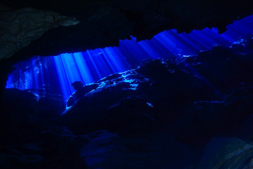 IMG-20220323-WA0023.jpg - Pawel43duzy