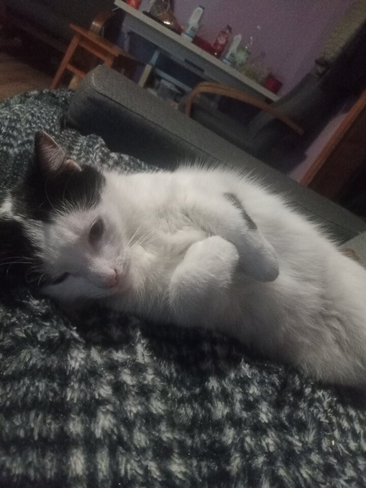 16592031297856562714098718055786.jpg - podruznik