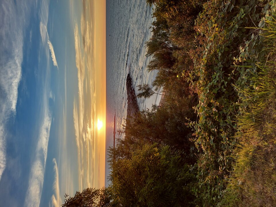 20220730_204148.jpg - A7REPPU