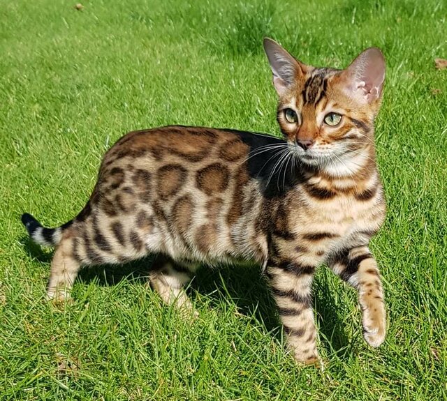 received_151137337192774.jpeg - Cierpliwy_on