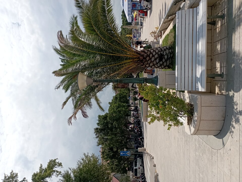 IMG_20220730_115957.jpg - 19slaw79