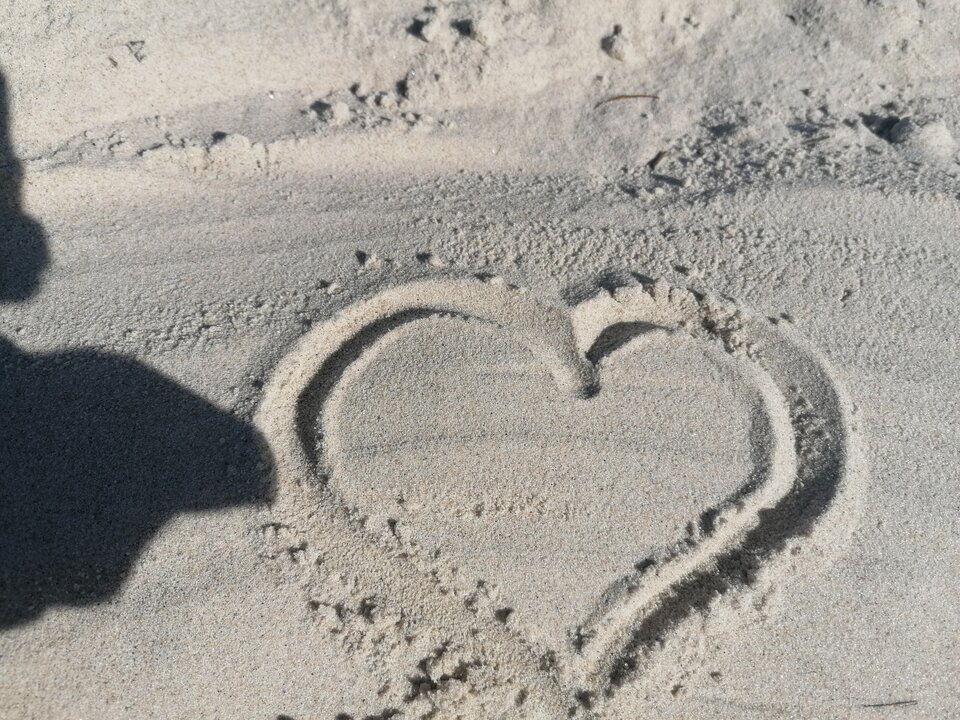 IMG_20220729_162948.jpg - butterflies2