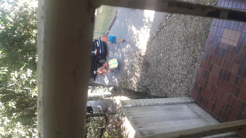 20190807_095704.jpg - Adamtoru